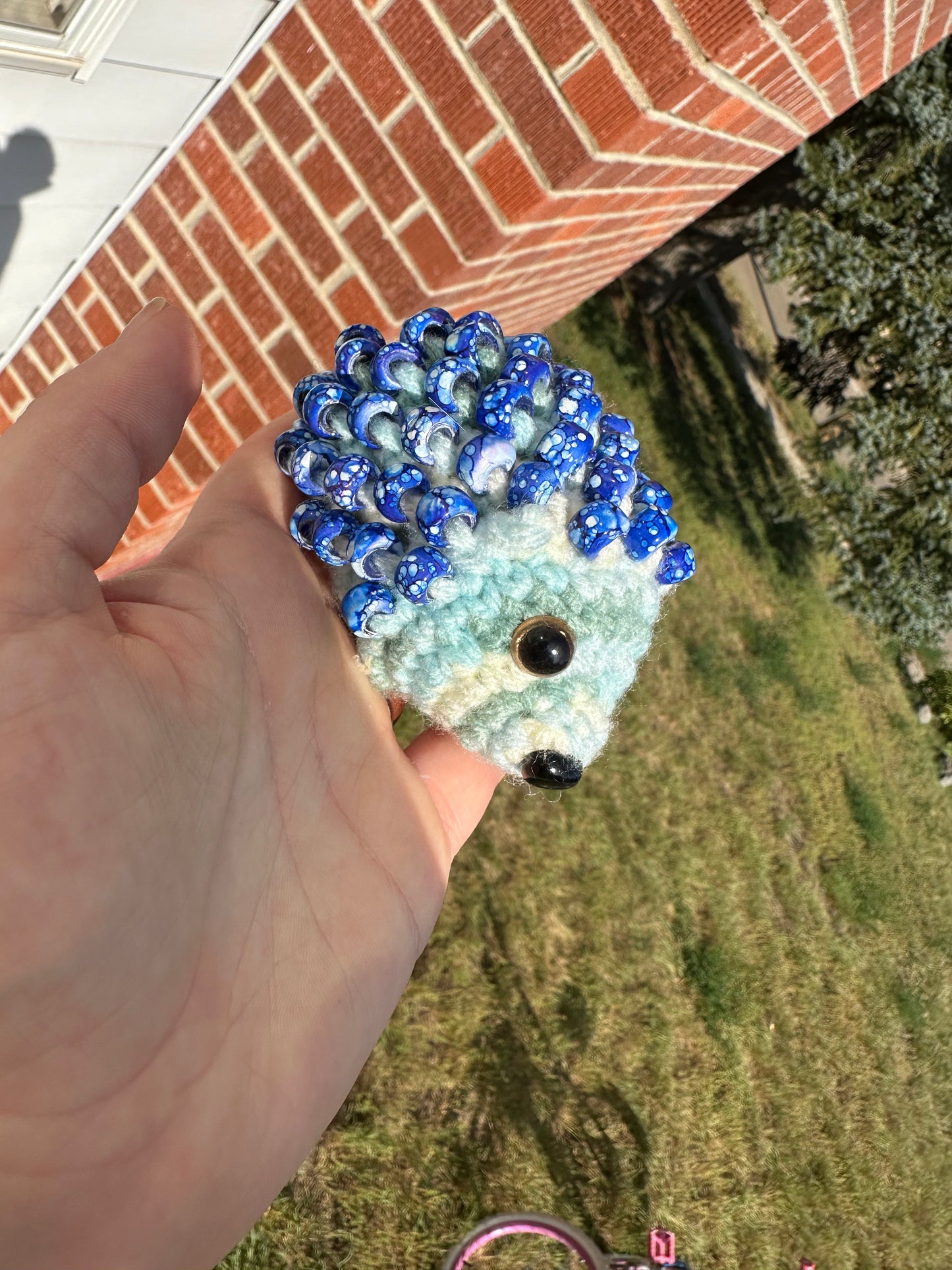Sky Blue Fidget Hedgehog