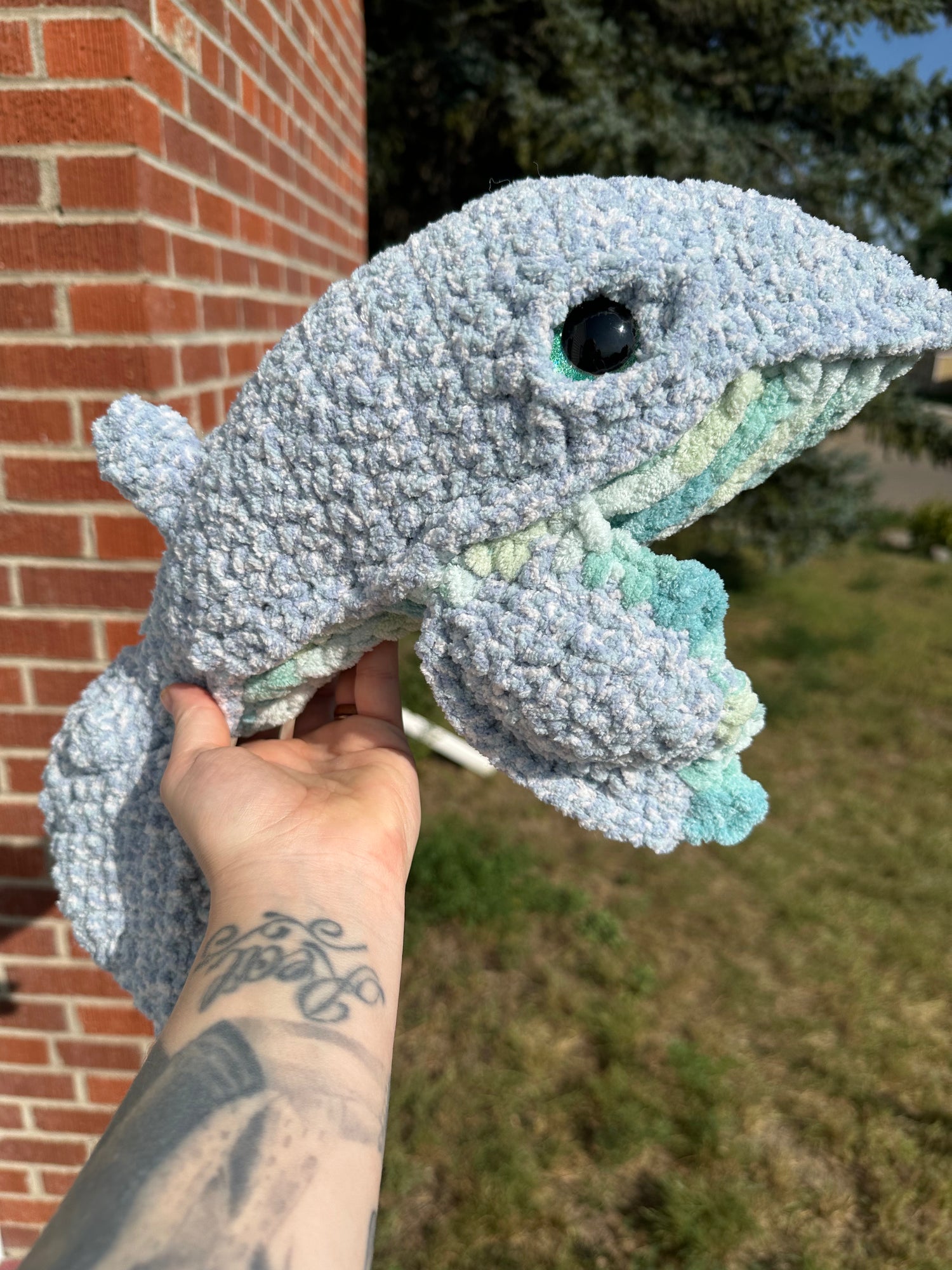 Sea Life