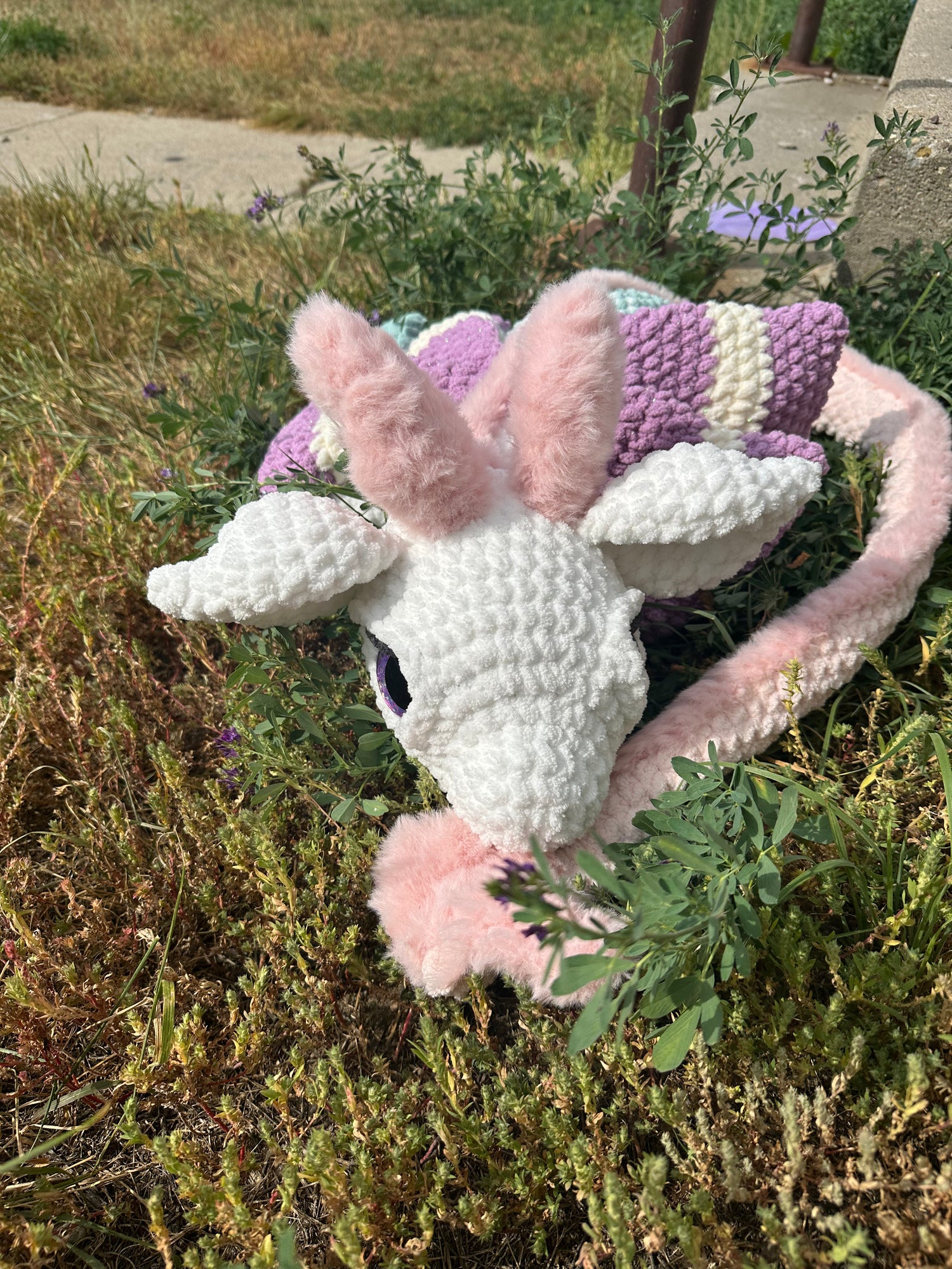 Dragons Dragons and More Dragons!