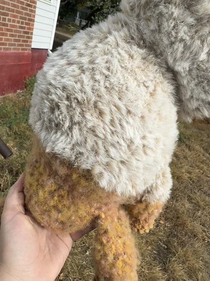 1 Pound Weighted Buffalo-Medium Size